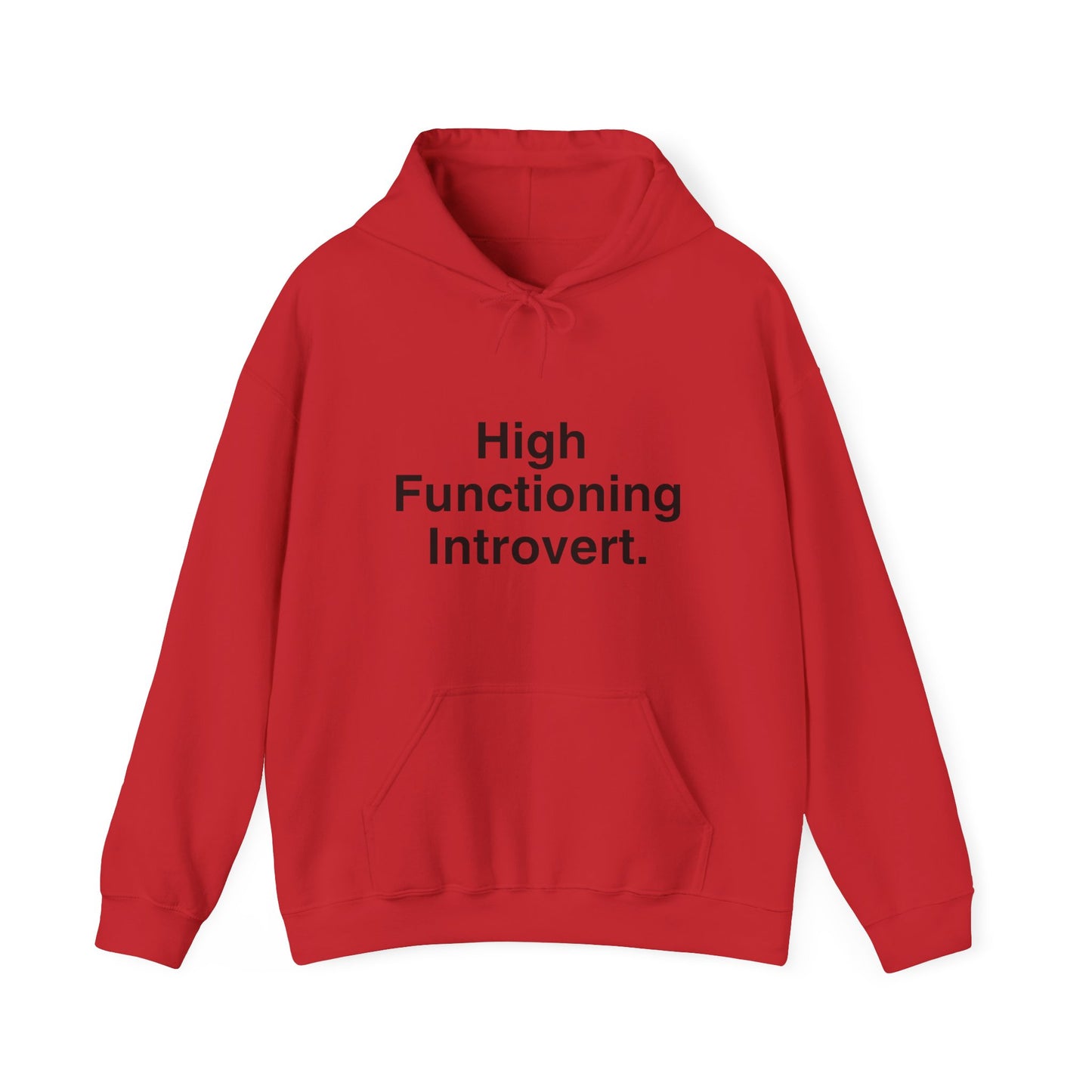 High Functioning Introvert Hoodie