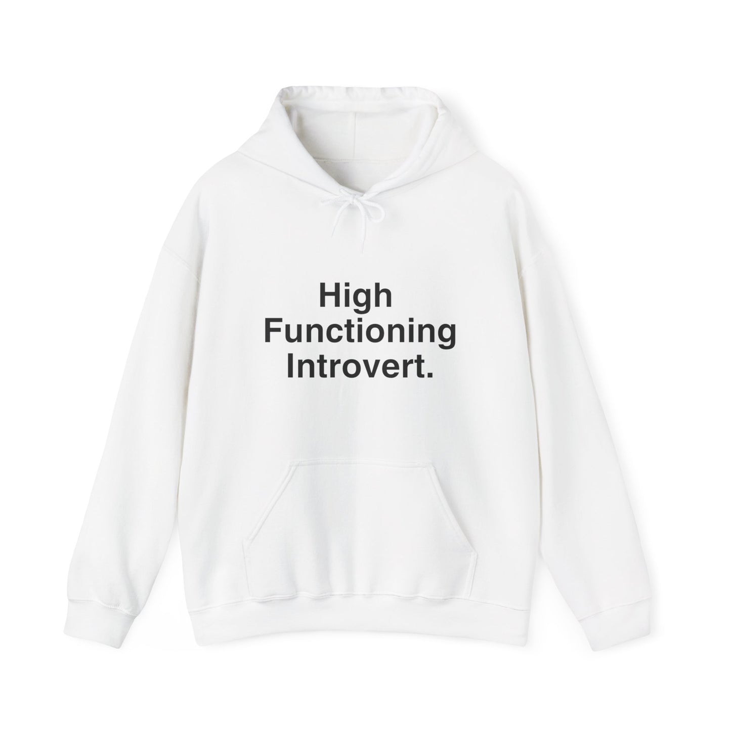 High Functioning Introvert Hoodie