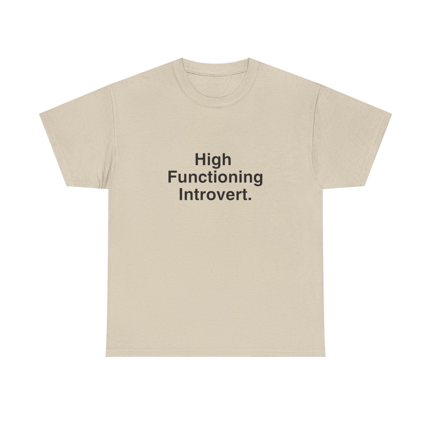 High Functioning Introvert T-Shirt