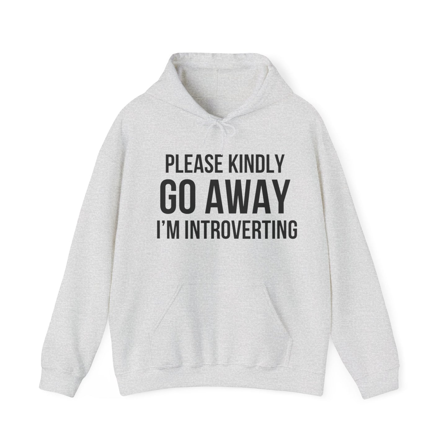 Please Go Away Introverting Hoodie