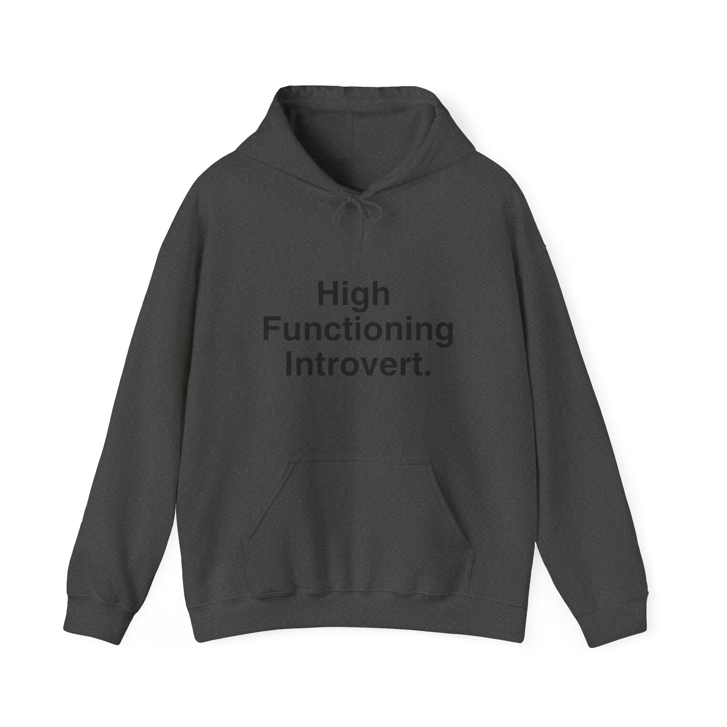 High Functioning Introvert Hoodie