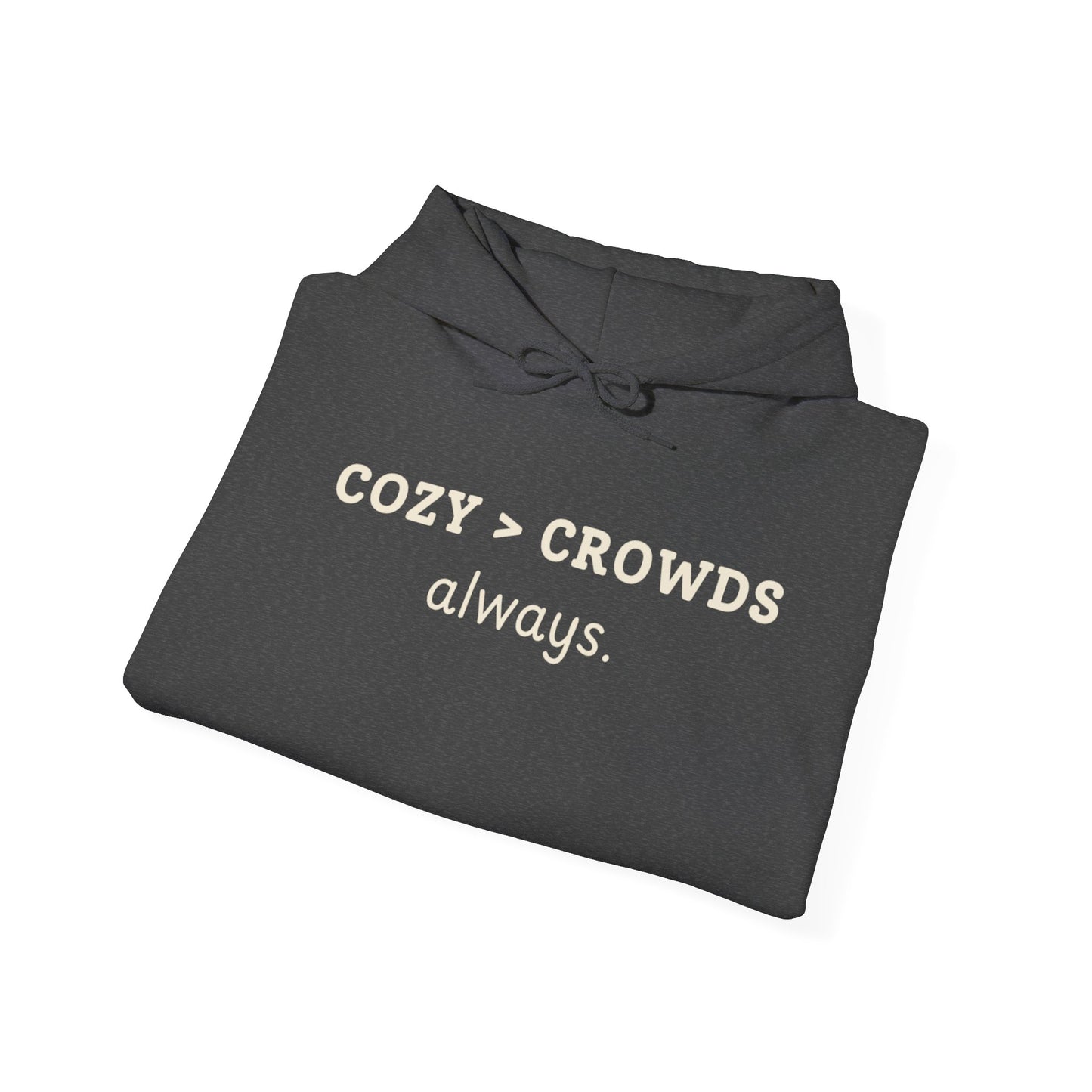 Cozy over Crowds Hoodie