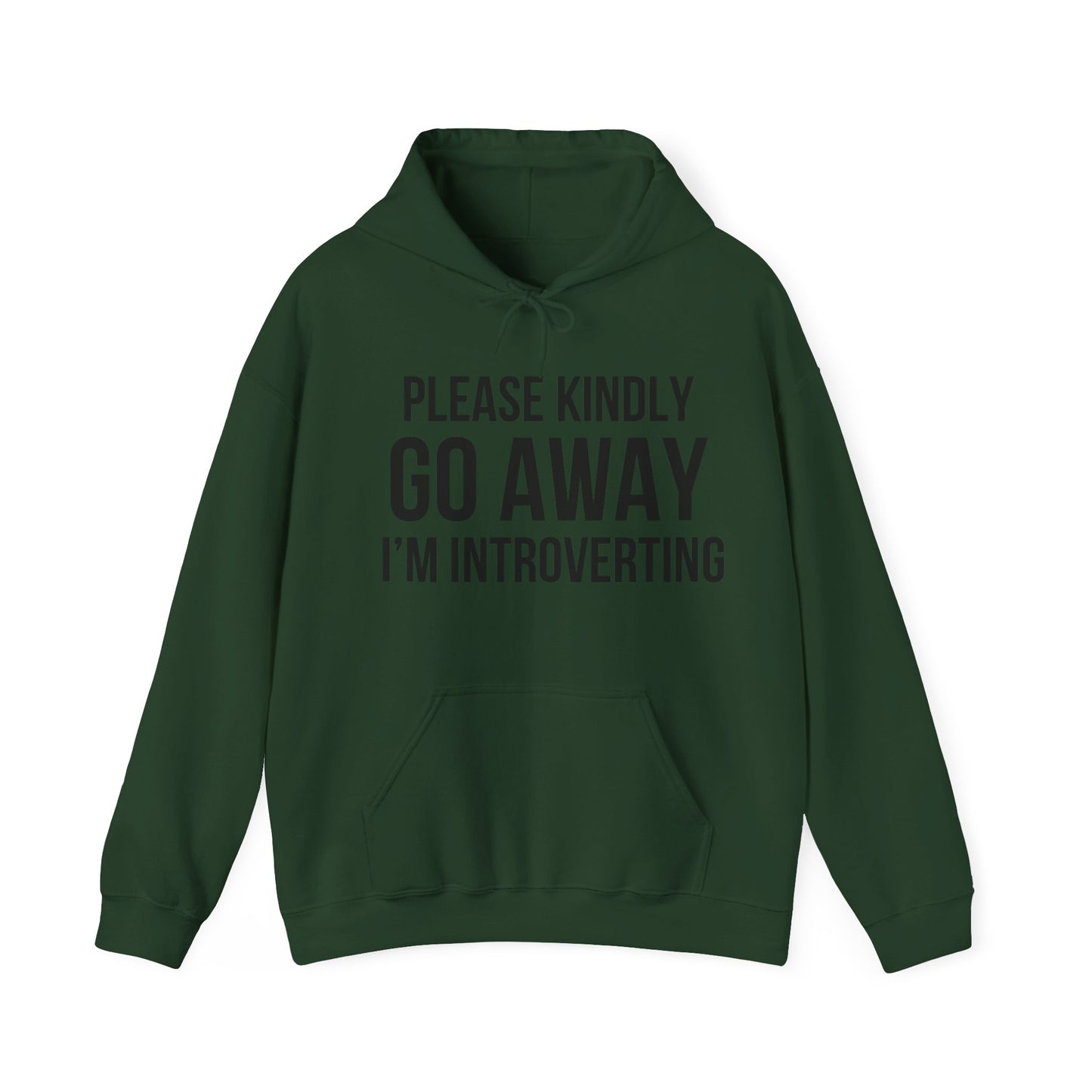 Please Go Away Introverting Hoodie