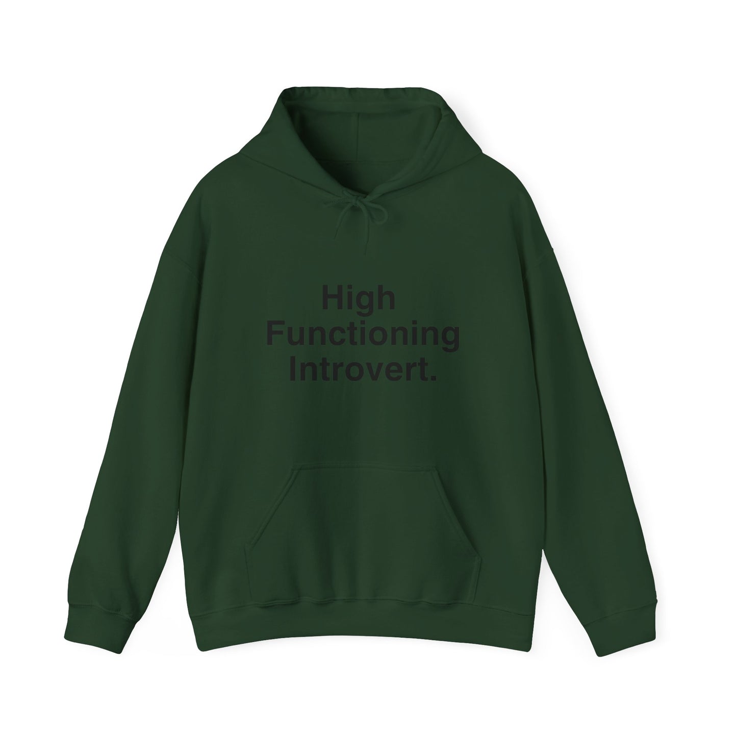 High Functioning Introvert Hoodie