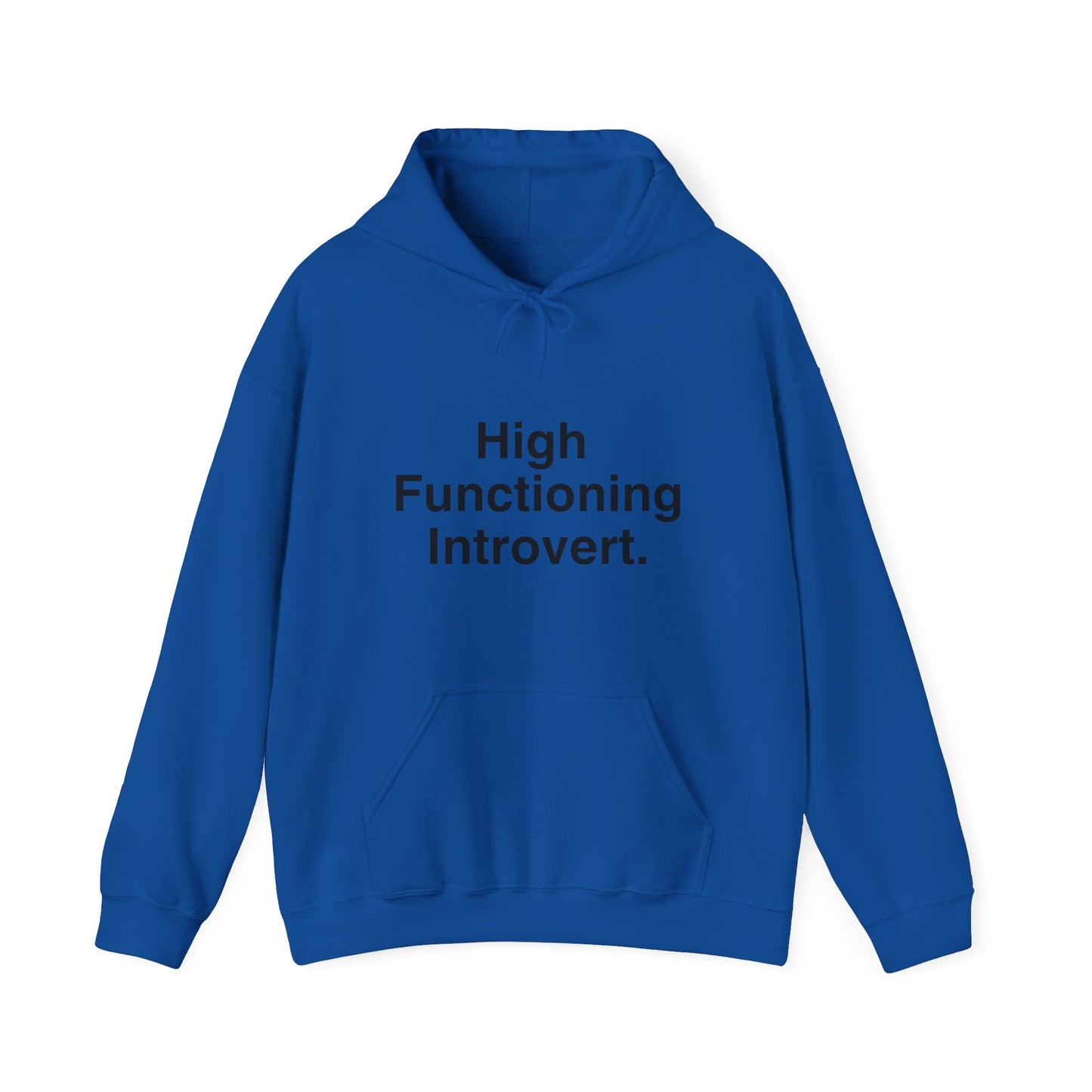 High Functioning Introvert Hoodie