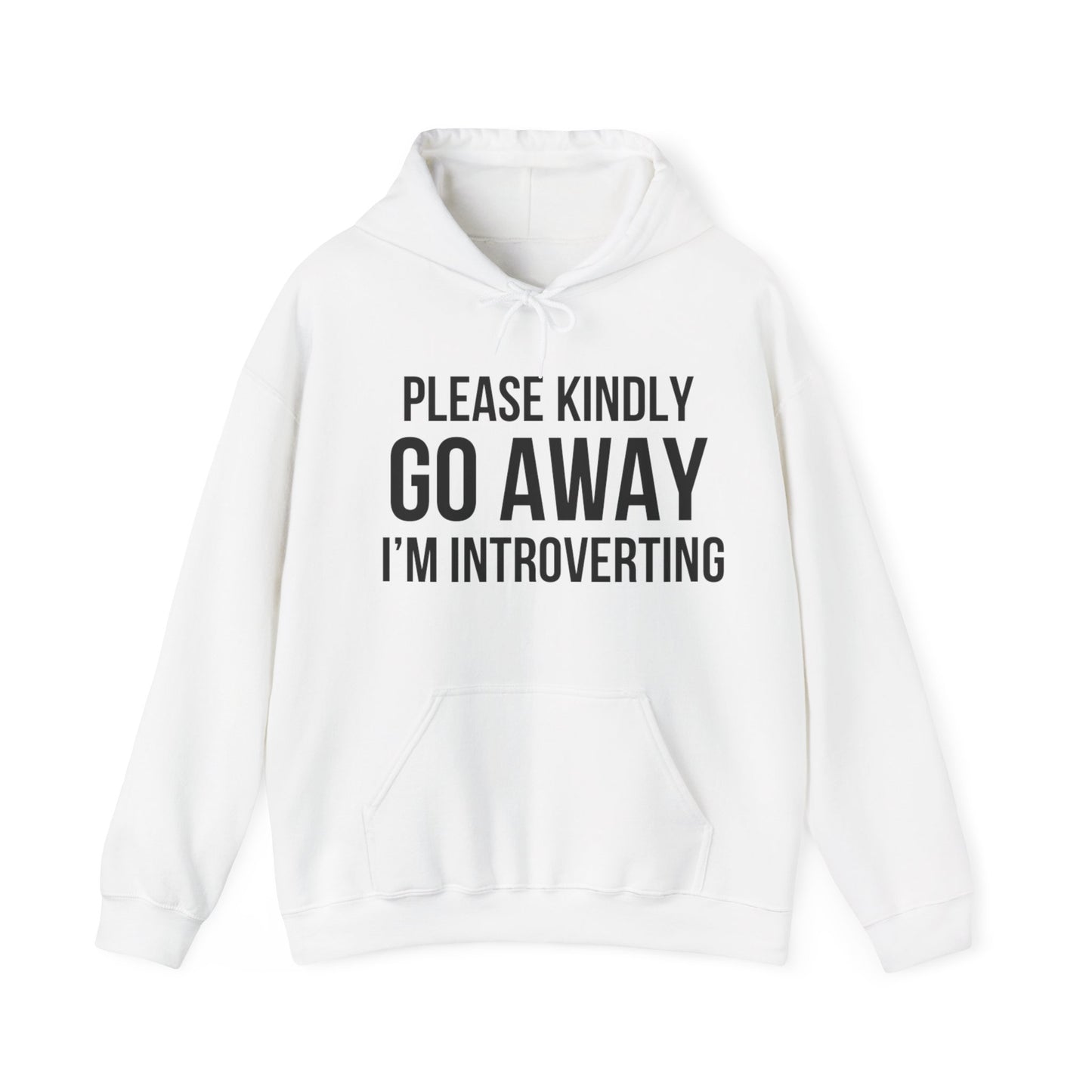 Please Go Away Introverting Hoodie
