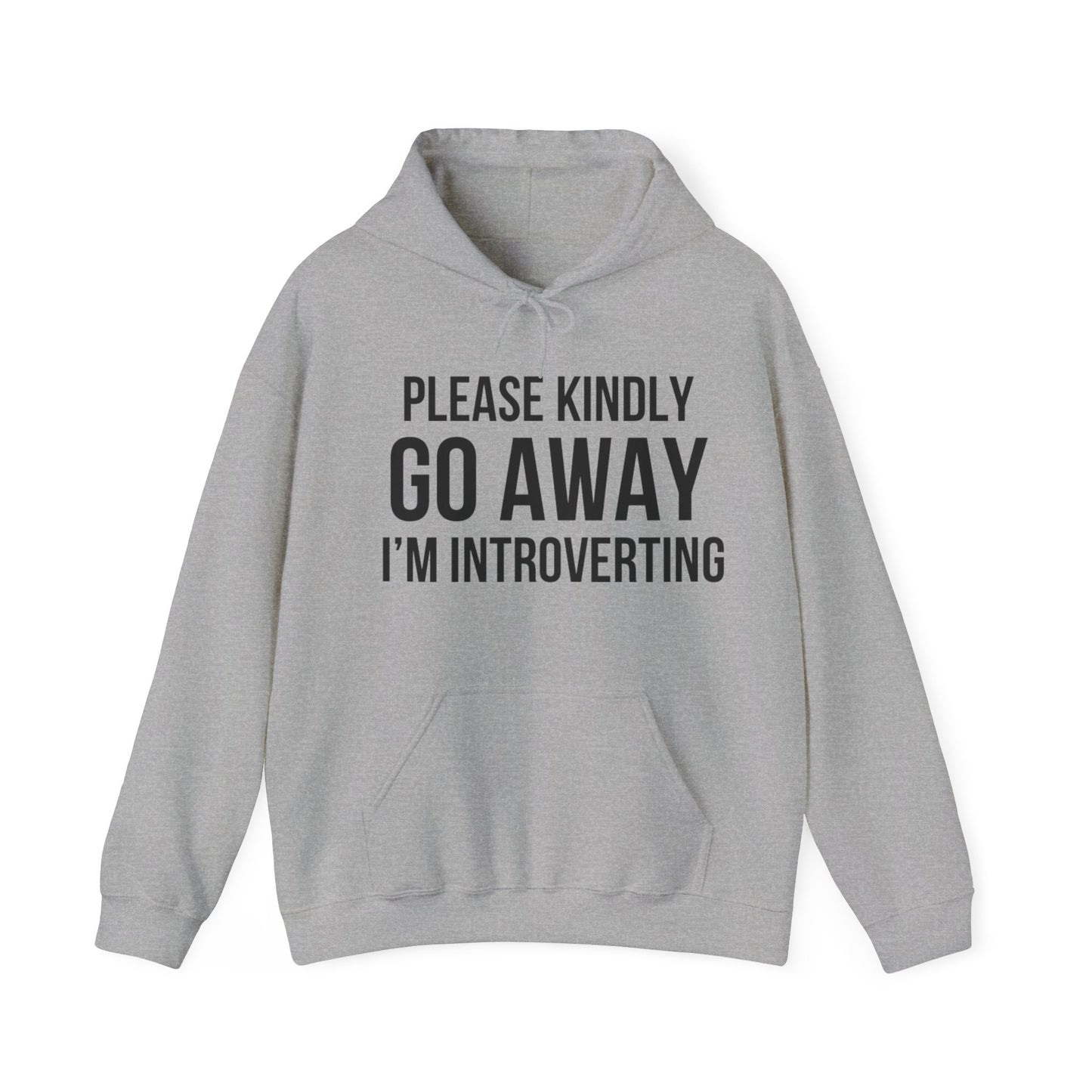 Please Go Away Introverting Hoodie