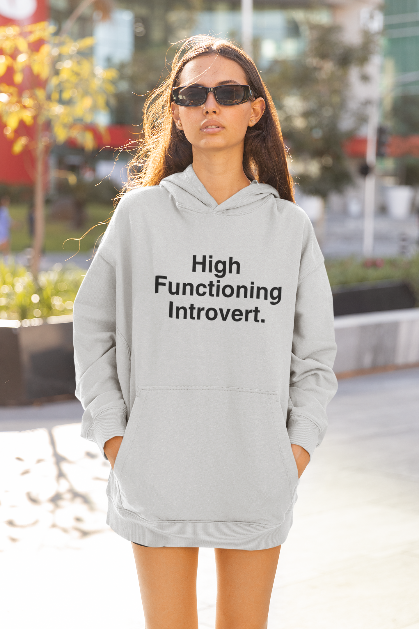 High Functioning Introvert Hoodie